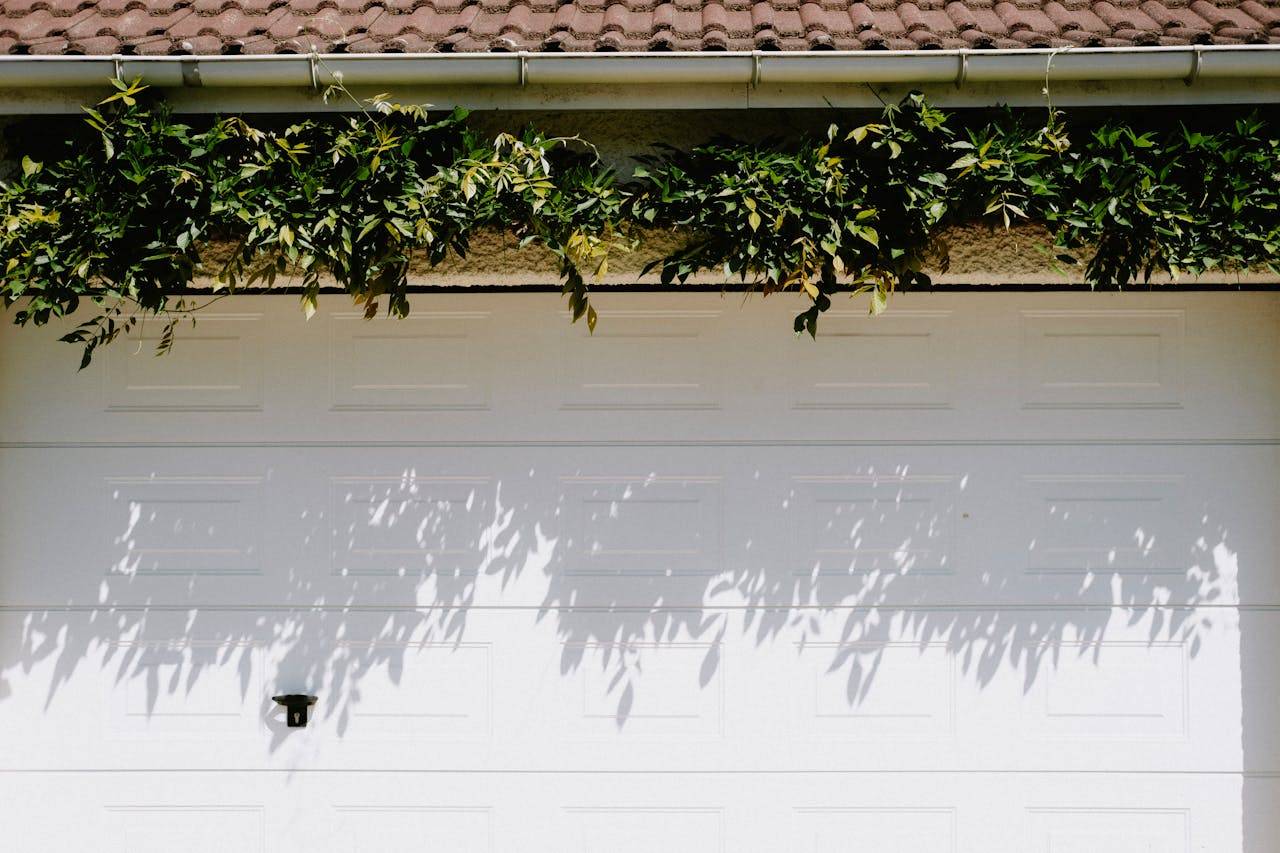 A closed white garage door adorned with lush green foliage casting shadows.