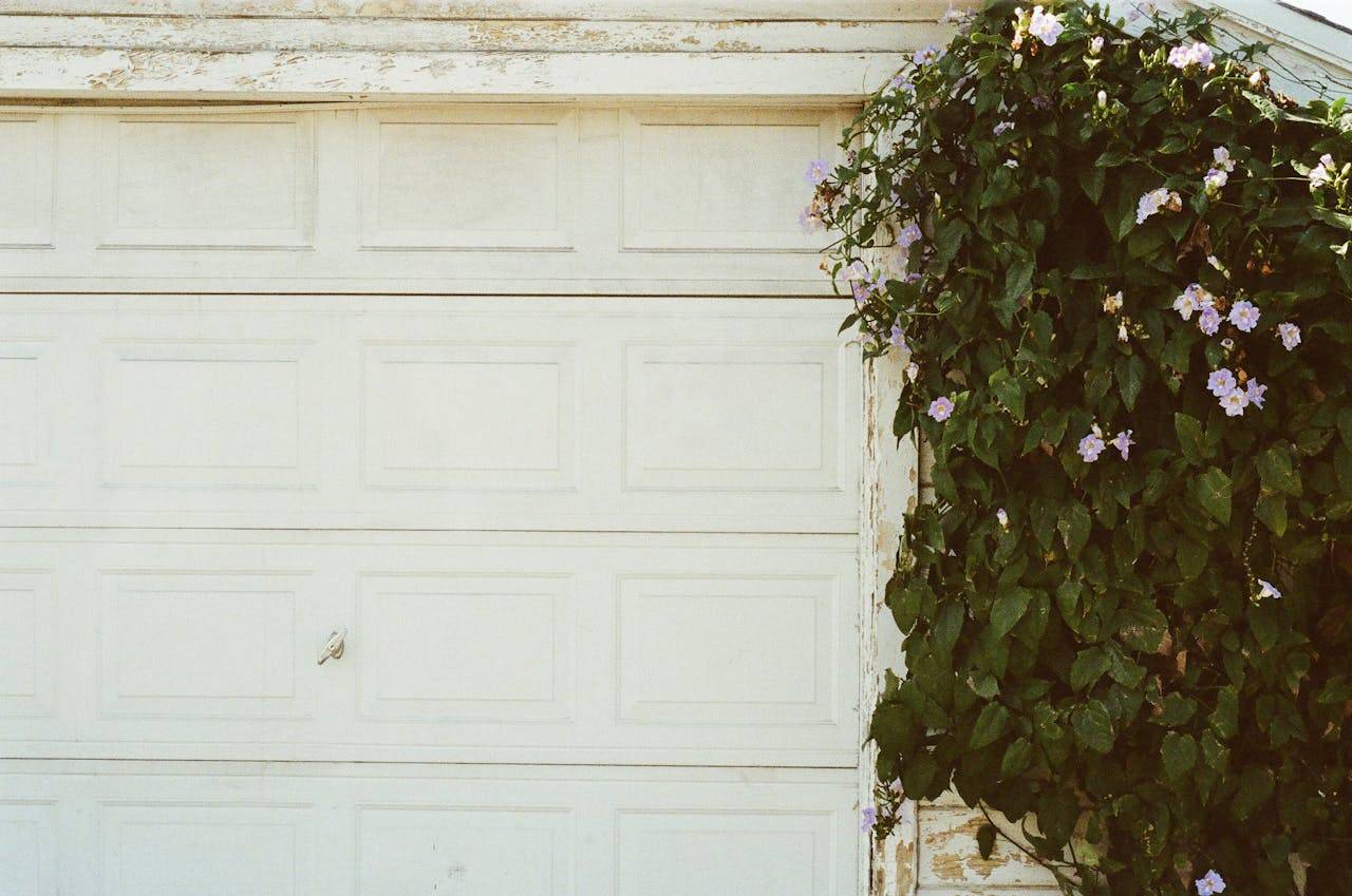 A vintage garage door partially covered with lush, blooming vines.