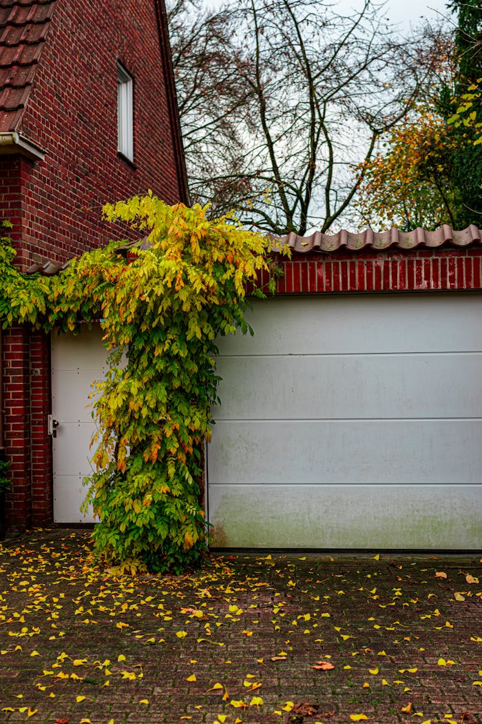 Brick garage facade with vibrant autumn ivy and fallen leaves covering the driveway.