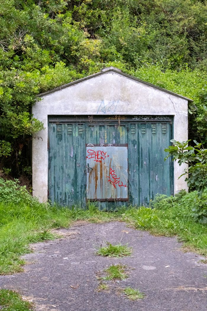 Old garage surrounded by lush greenery and graffiti, capturing urban decay.